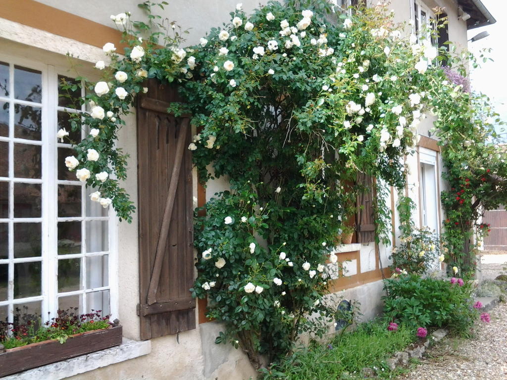 Forest Farm Bois-Jerome-Saint-Ouen Exterior foto